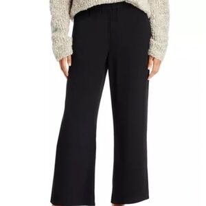 Eileen Fisher Straight Ankle Pants - Size 2X